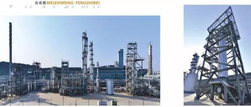 四川美豐一項(xiàng)關(guān)鍵化工工藝通過科技成果鑒定，引領(lǐng)行業(yè)綠色高效發(fā)展